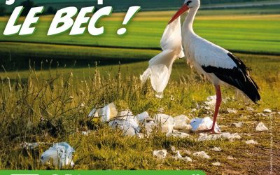 Elsàss Oschterputz 2026 – Appel aux bénévoles !