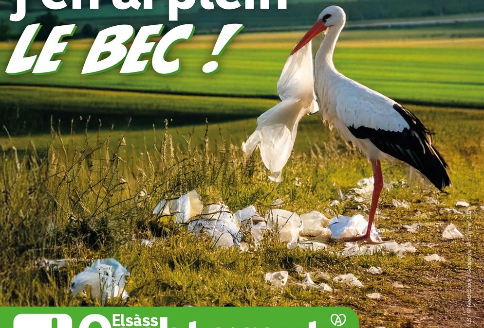 Elsàss Oschterputz 2026 – Appel aux bénévoles ! 